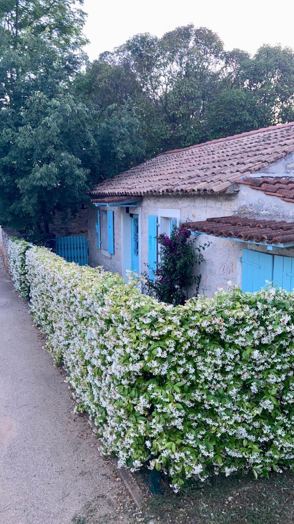 Vila Majda Tar-Vabriga Dış mekan fotoğraf
